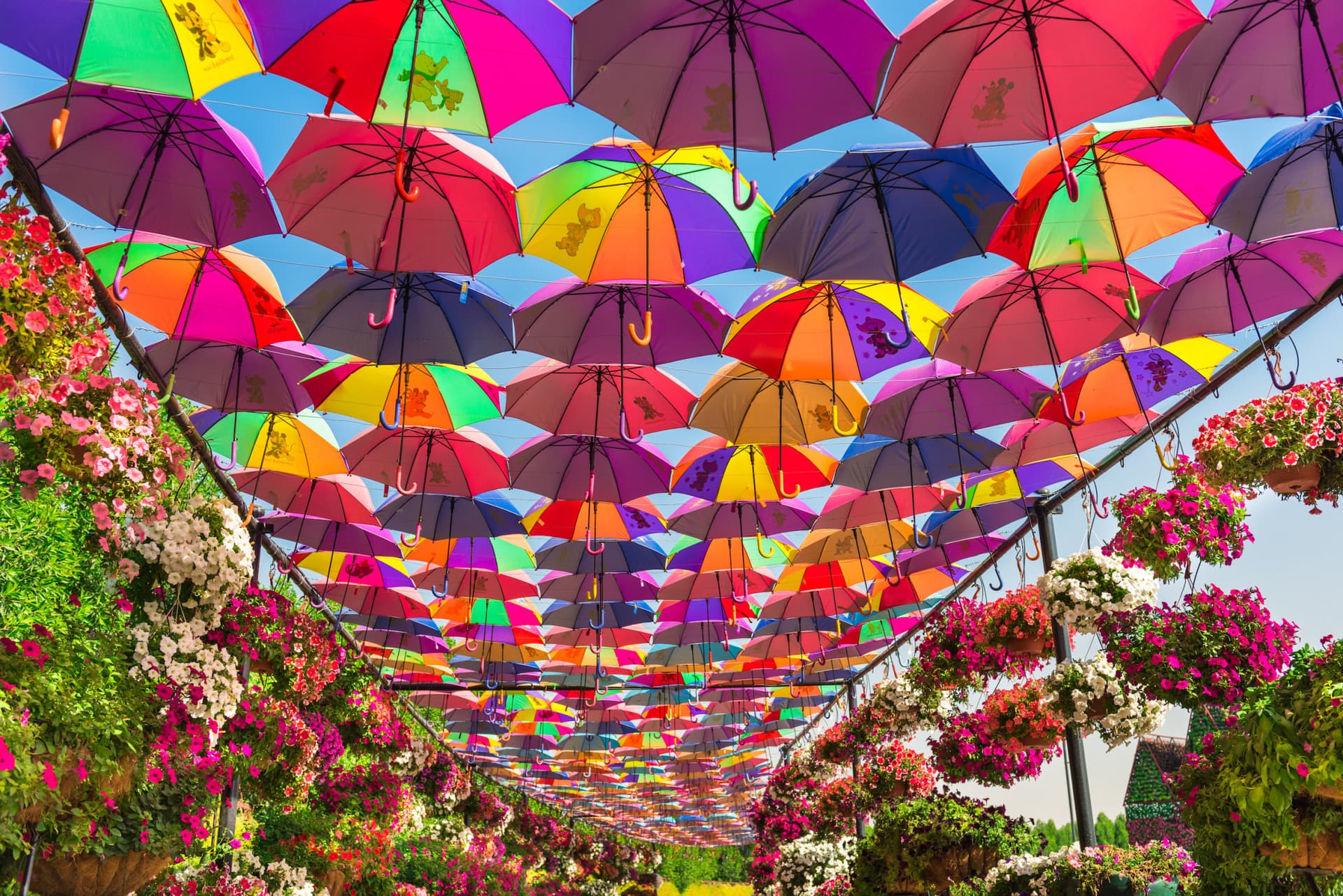 COMBO: Dubai Miracle Garden + Dubai Butterfly Garden Tickets - image 3